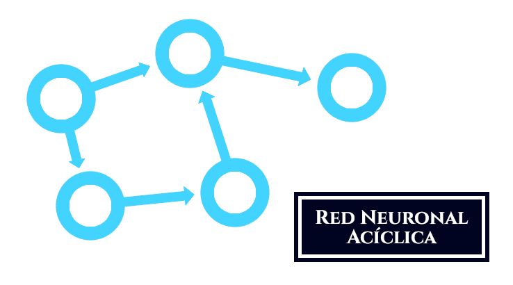 Red neuronal acíclica, sin bucles y unidireccional.