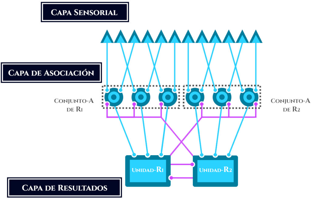 Esquema visual de las tres capas del Perceptrón de Rosenblatt.