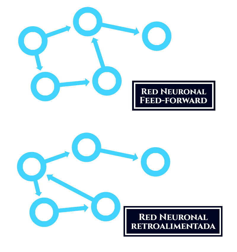 Redes Neuronales, una unidireccional (feed-forward) y la otra con un bucle (retroalimentación).