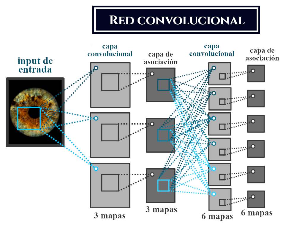 Arquitectura elemental de las Redes Convolucionales.