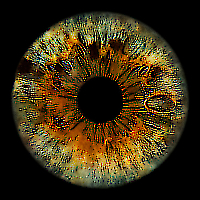 Ejemplo de un filtro sharpen sobre una imagen.