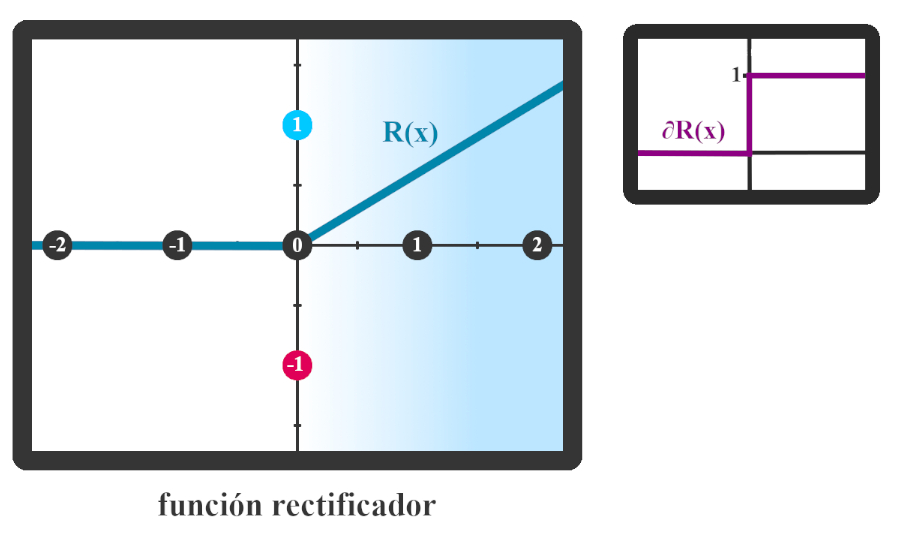 Gráfica de la función de activación rectificador con su derivada