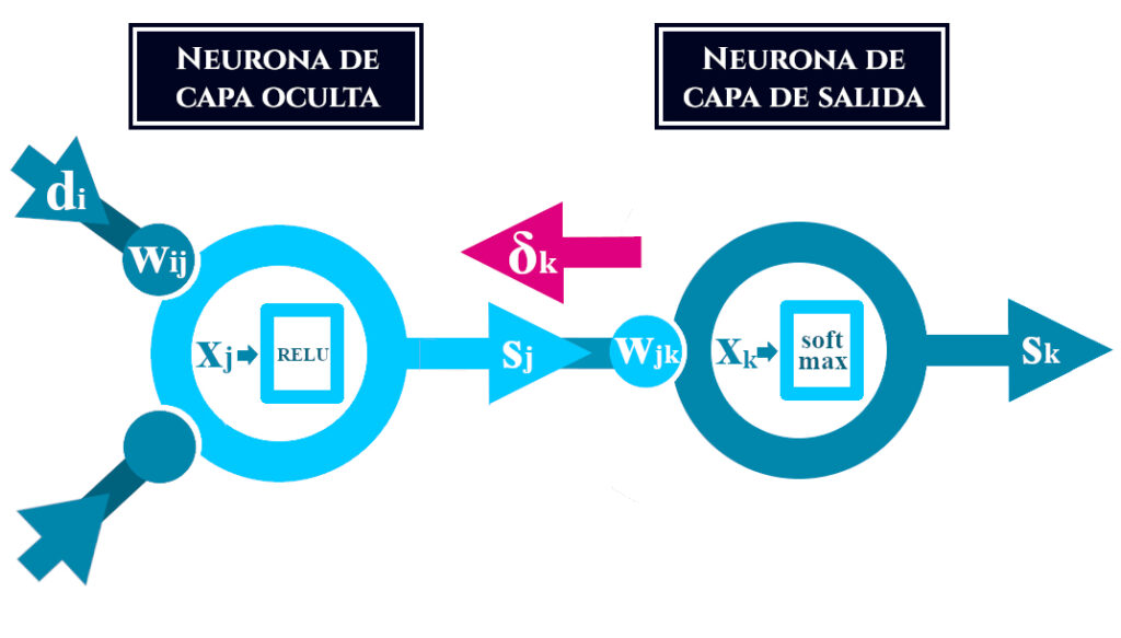 Neurona de salida y oculta, y le retropropagación del delta