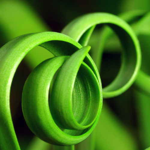 Imagen destacada de Retropropagación del Gradiente.