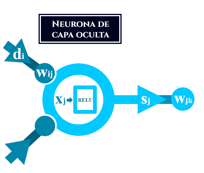 Neurona de la capa oculta hacia la que se propaga el delta de la neurona de salida