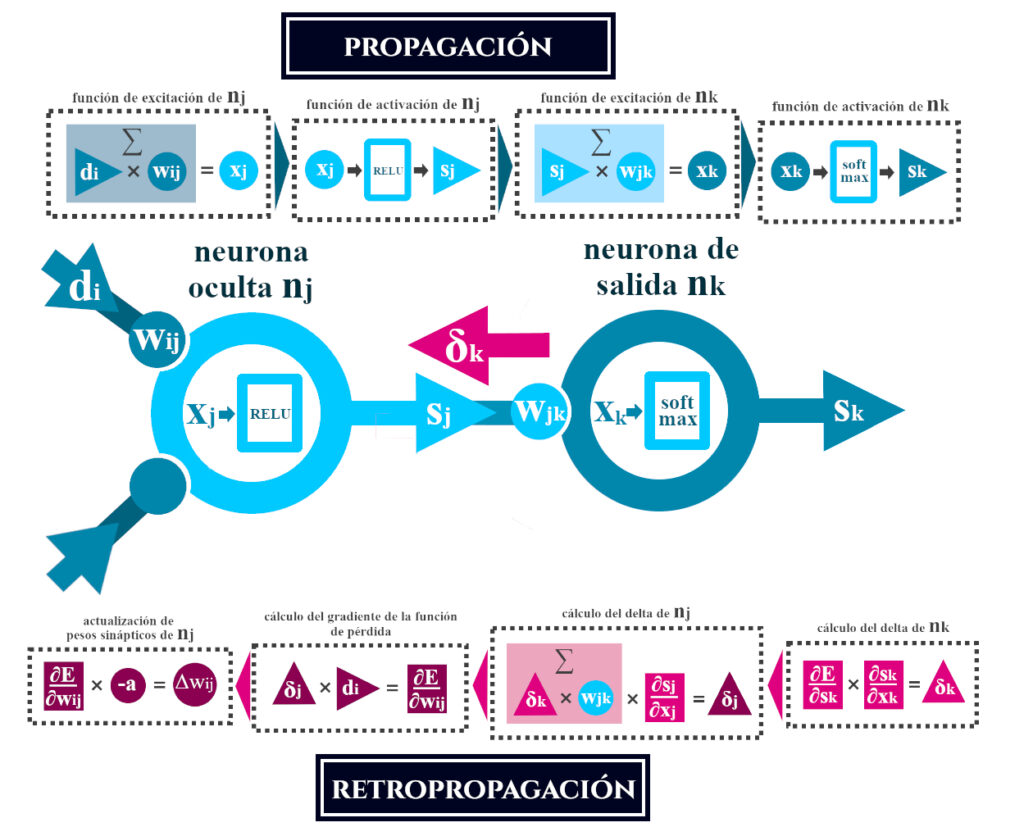 Esquema de la propagación y la retropropagación del gradiente