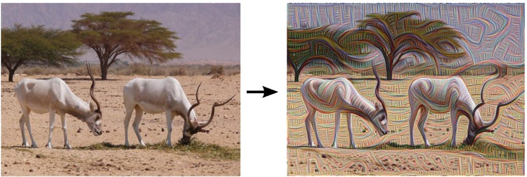 Imagen generada por la red Deep Dream