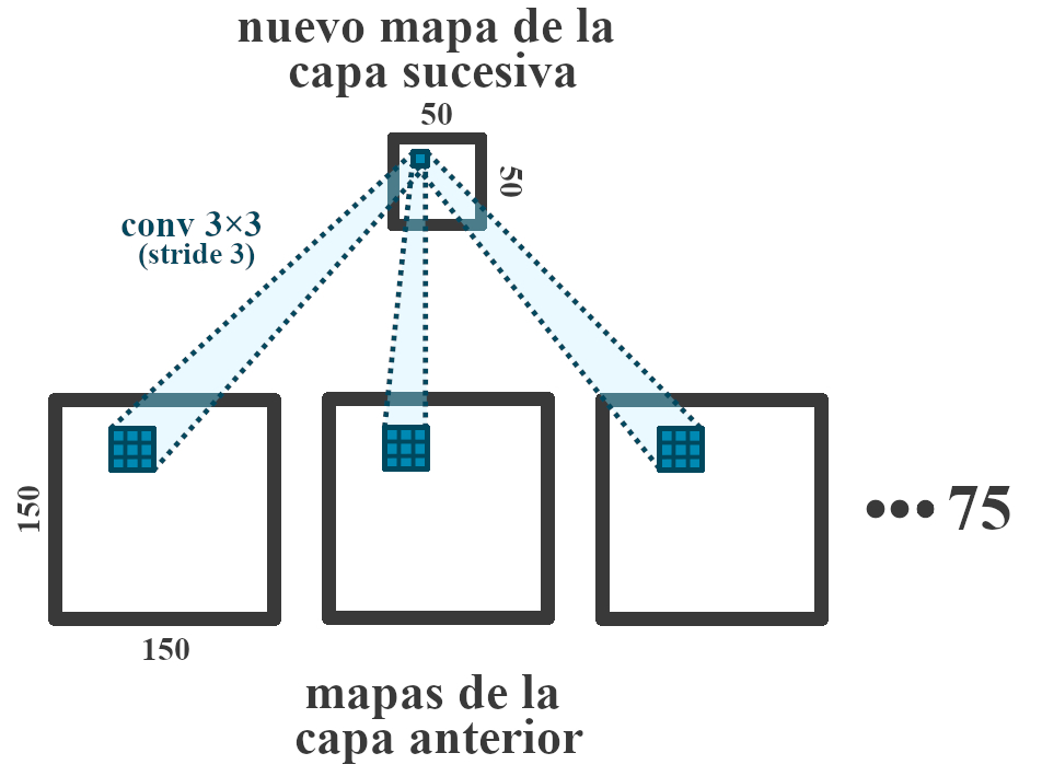 Cada mapa de la capa sucesiva se forma a partir de un kernel aplicado a todos los mapas de la capa previa.