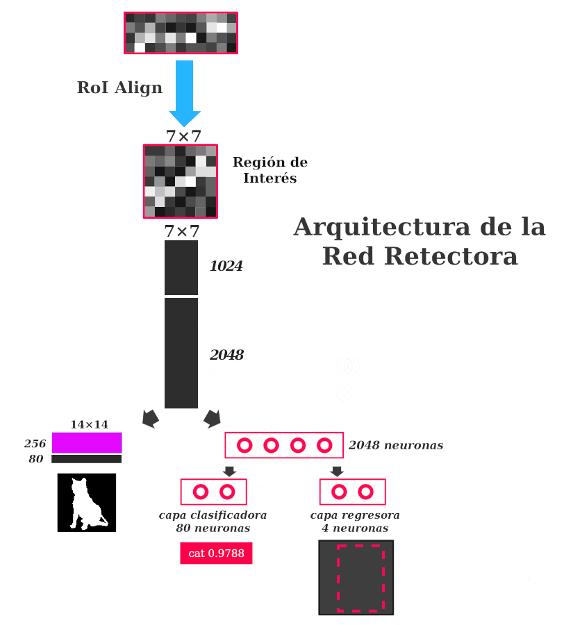 Red Detectora dedicada en la tarea de Segmentación de Instancia.