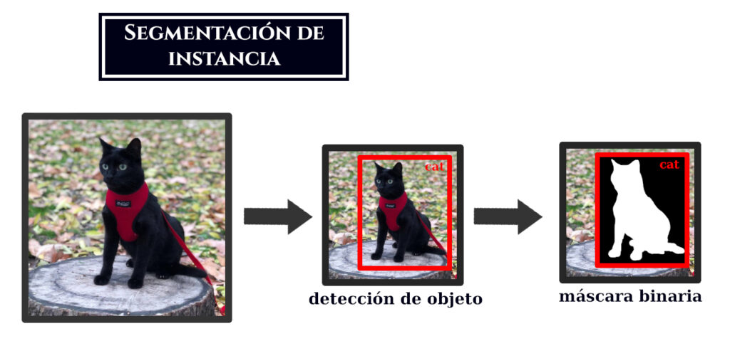 Tarea de Segmentación de Instancia, por la que se crea una ventana y una máscara sobre el objeto detectado.