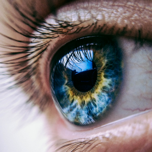 Imagen destacada de RetinaNet
