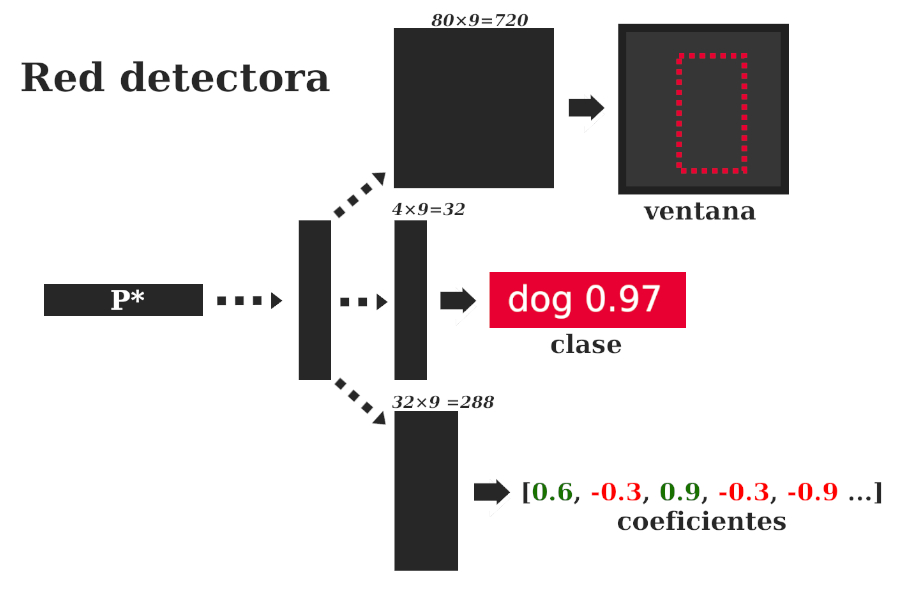 Red detectora situada en la cabeza de la red YOLACT y encargada de elaborar las ventanas, la clasificación de los objetos encerrados en las mismas y los coeficientes de los mismos.