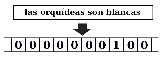 Transformación de un texto en un vector 1 a N.
